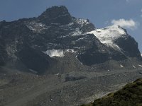 CH, Wallis, Saas Fee, Morenia 4, Saxifraga-Willem van Kruijsbergen